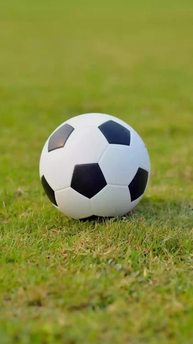 足彩爱好者使用数据分析工具